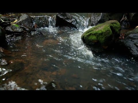 A hidden treasure in Kwahu Tafo you should know