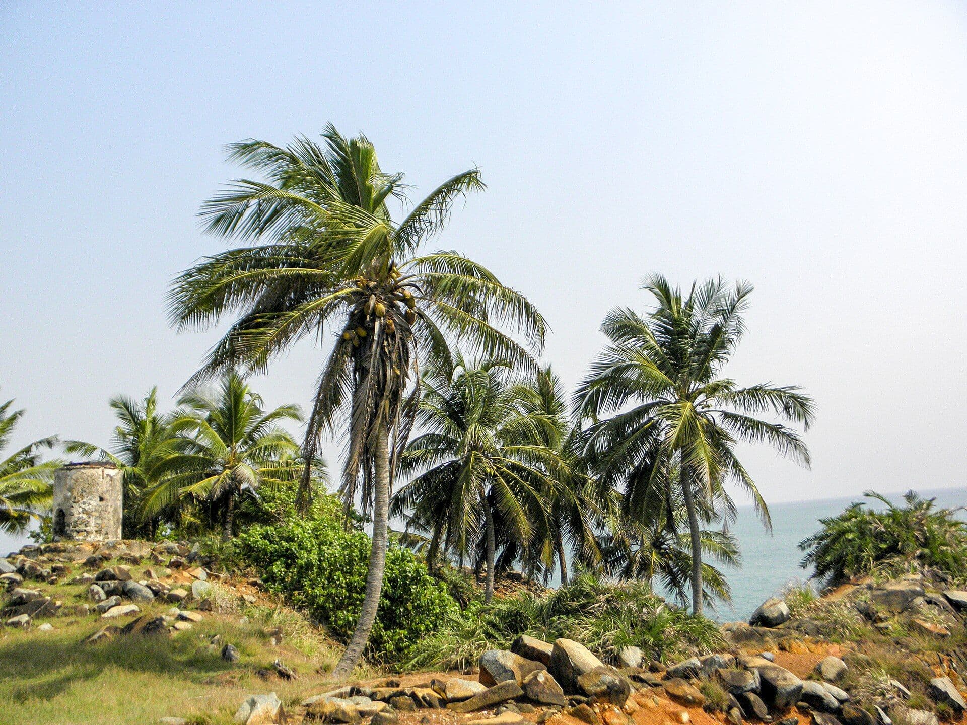 Cape Three Points