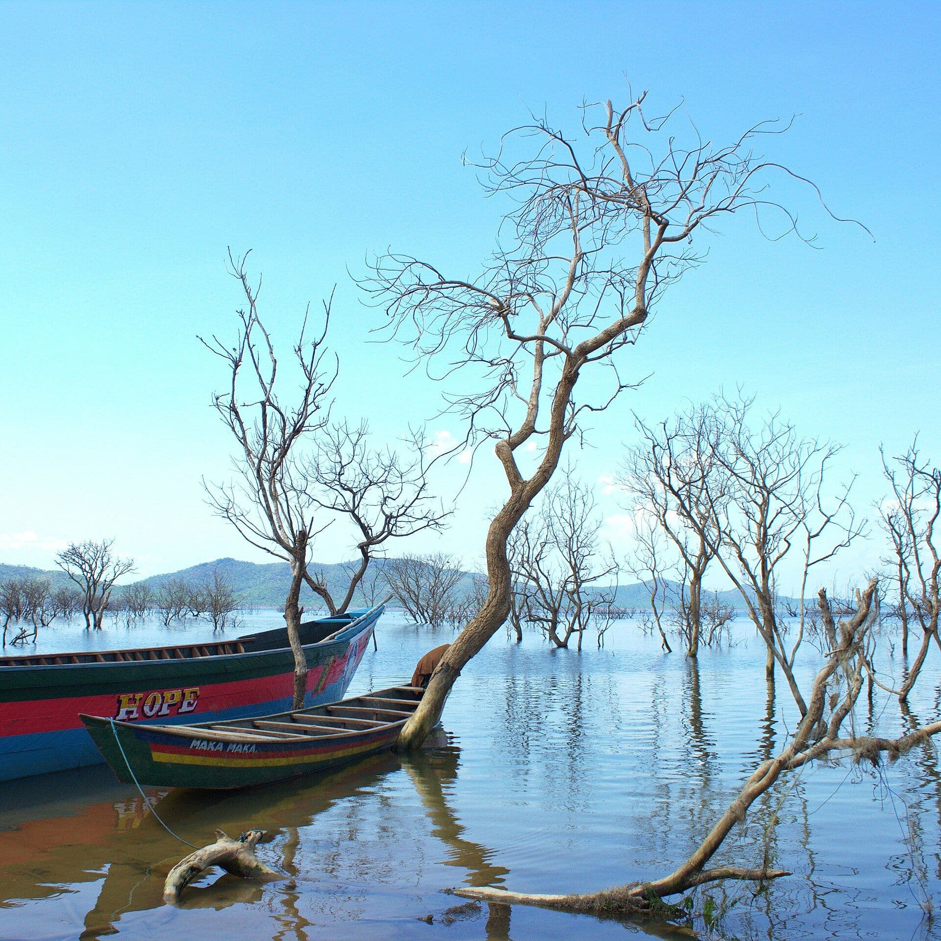 Bui National Park