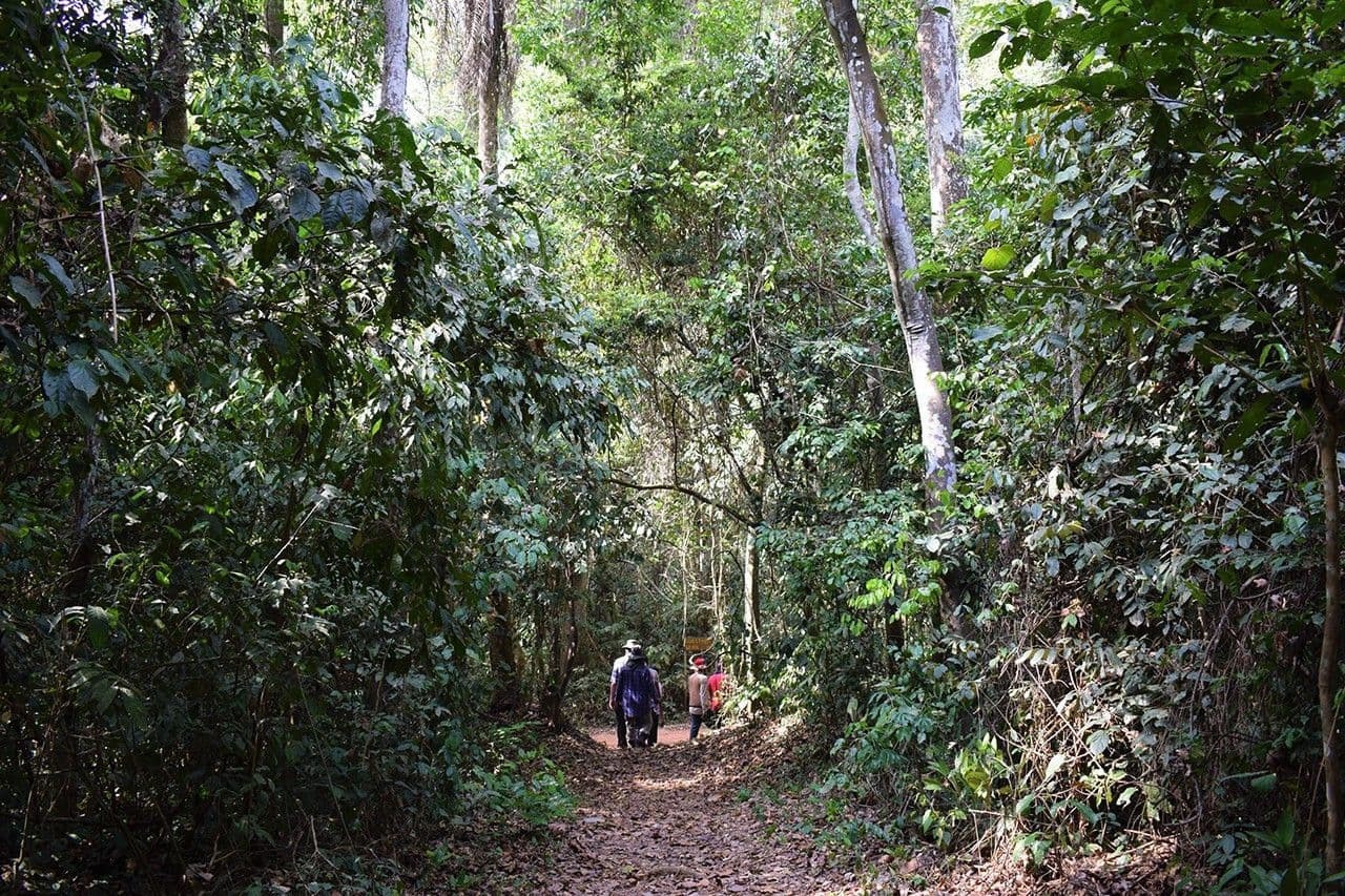 Bobiri Butterfly Sanctuary
