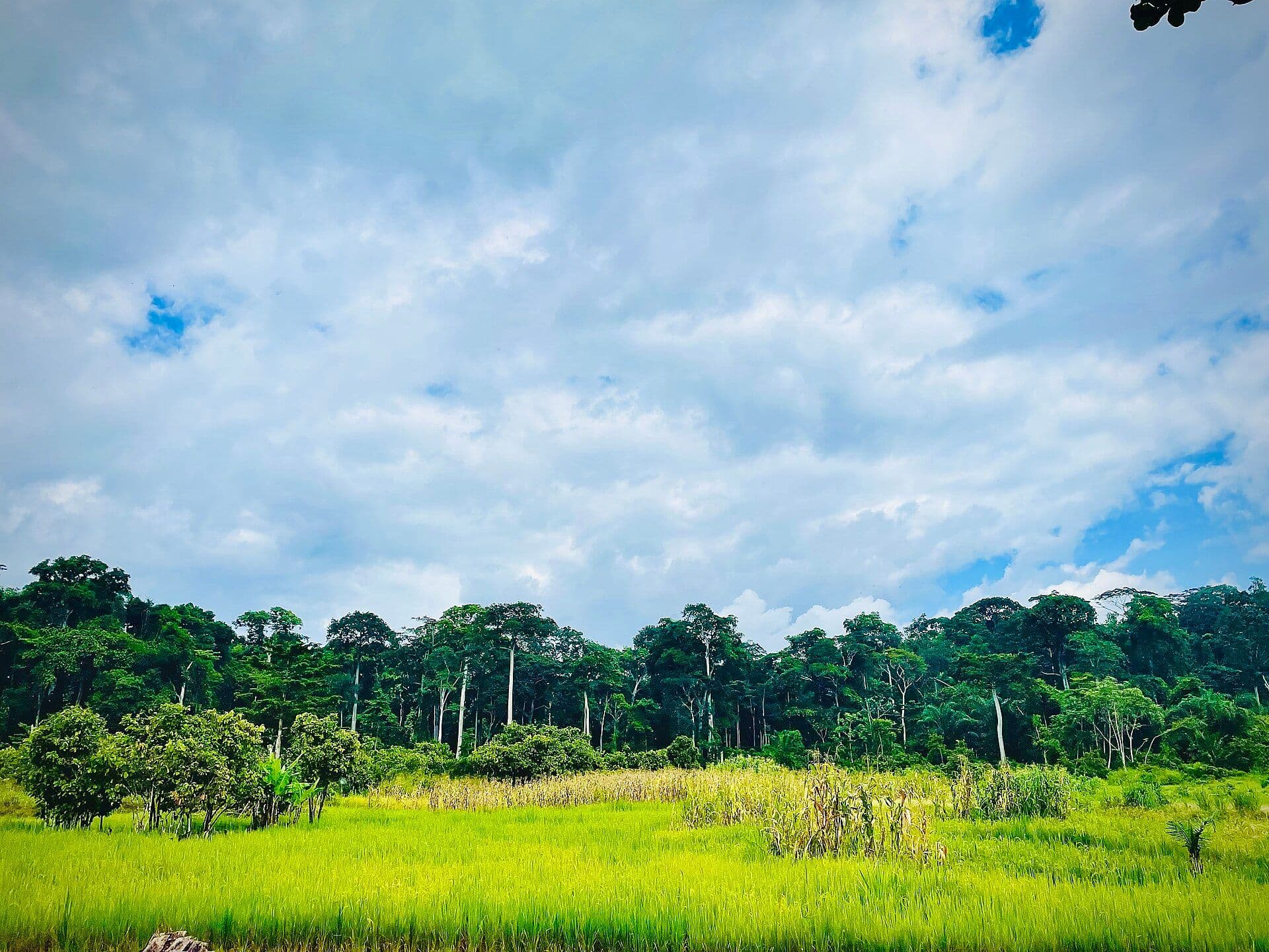 Bia National Park & Resource Reserve/Biosphere Reserve